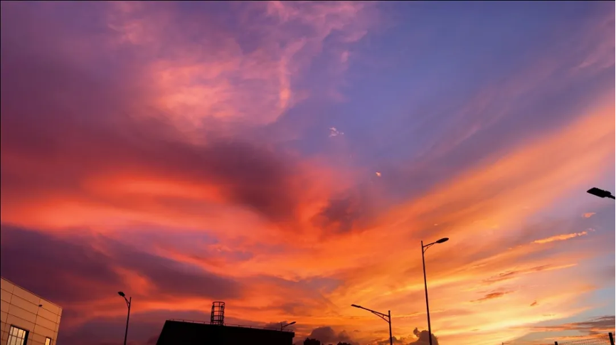 节气里的广检美学|时至大暑 丰收在望6.png