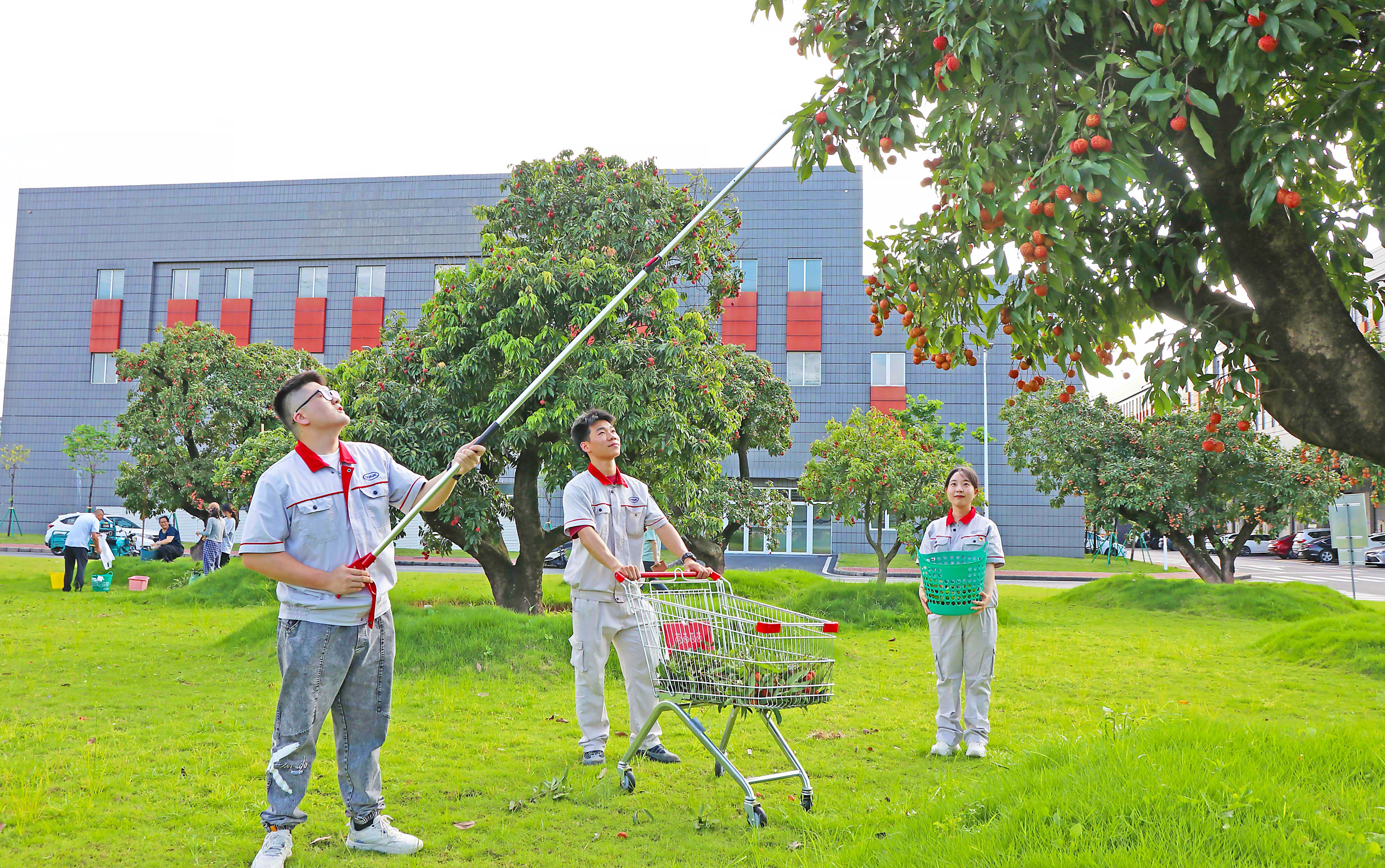 从“长安的荔枝”，循迹“焕新提升”之路4.jpg