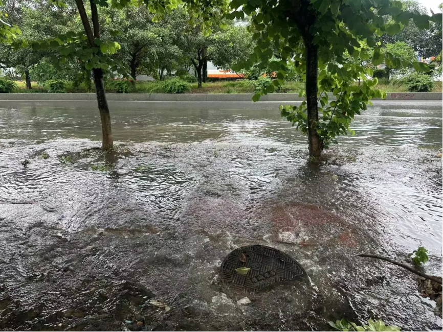 御风抵浪，还得看广检青年 1.png