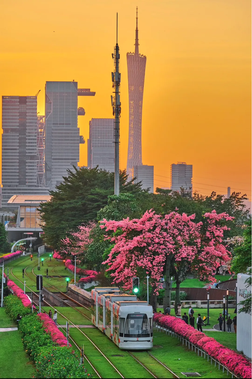 立冬 | 在广州,花见时节,恰是奋进时 1.png 立冬 | 在广州,花见时节,恰是奋进时 1.png