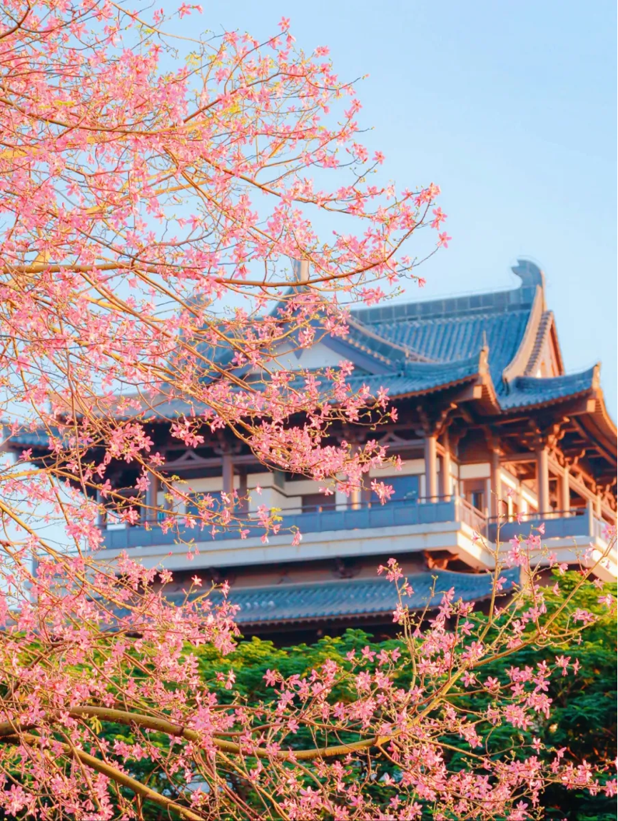 立冬 | 在广州,花见时节,恰是奋进时2.png 立冬 | 在广州,花见时节,恰是奋进时2.png